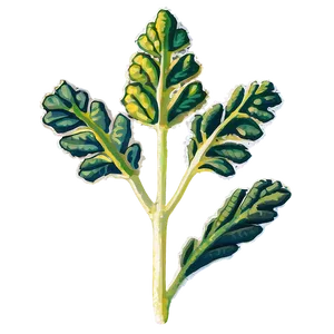 Mustard Seed Flower PNG Djp28 PNG