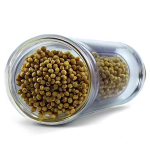 Mustard Seed Jar PNG 05242024