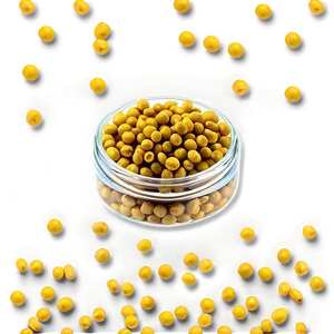 Mustard Seed Jar PNG 58 PNG