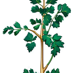 Mustard Seed Plant PNG 05242024
