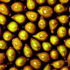 Mustard Seed PNG 48