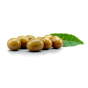 Mustard Seed PNG Ypm99