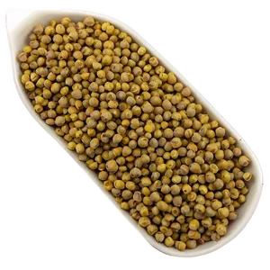 Mustard Seed Spice Png 05242024 PNG image