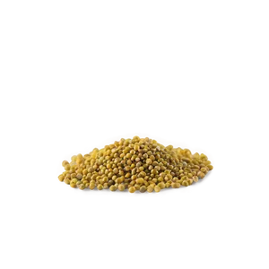 Mustard Seed Spice PNG Imv PNG