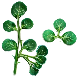 Mustard Seed Sprout PNG Ime PNG