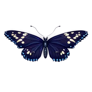 Mysterious Black Butterfly PNG 06252024