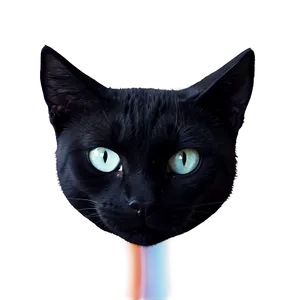 Mysterious Black Cat Head PNG 79 PNG