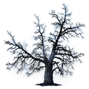 "mysterious Foggy Tree PNG" 04302024