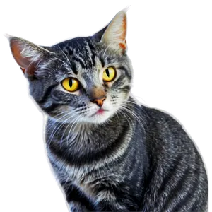 Mysterious Grey Cat Png Fuf29 PNG image