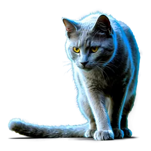 Mysterious Grey Cat Png Kpf PNG image