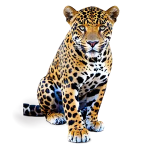 Mysterious Jaguar PNG Npf61