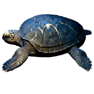 Mysterious Leatherback Turtle PNG 51
