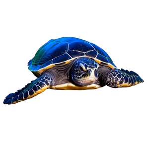 Mysterious Leatherback Turtle PNG Iul