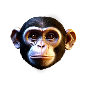Mysterious Monkey Face PNG 06272024