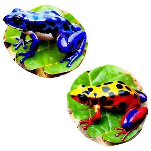 Mysterious Poison Dart Frog PNG 06132024