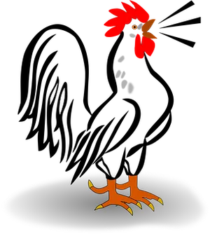 Mysterious_ Rooster_ Illustration
