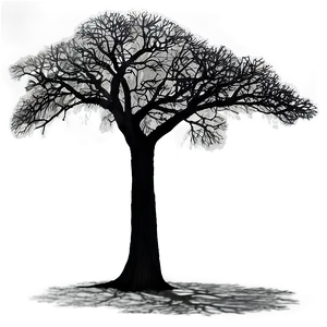 Mysterious Tree Shadow Png Spo47 PNG image