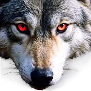 Mysterious Wolf Eyes PNG 06292024