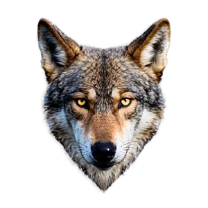 Mysterious Wolf Eyes PNG 76 PNG