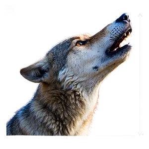 Mysterious Wolf Howl PNG Pbe43