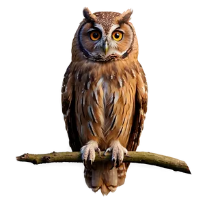 Mystic Owl Png 05062024 PNG image