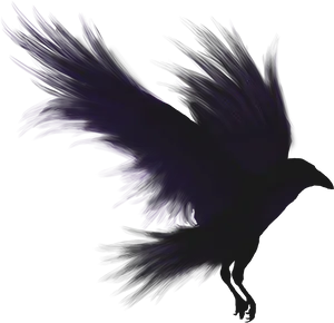 Mystic_ Purple_ Crow_ Art