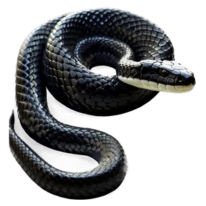 Mystical Black Snake PNG 06132024 PNG