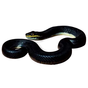 Mystical Black Snake PNG Gts