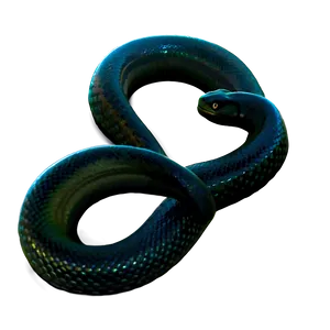 Mystical Black Snake PNG Phs PNG