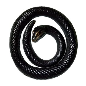 Mystical Black Snake PNG Yxj53 PNG