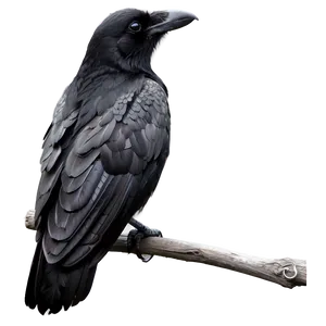 Mystical Crow PNG 6