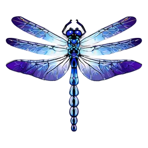Mystical Dragonfly PNG Cbj84 PNG