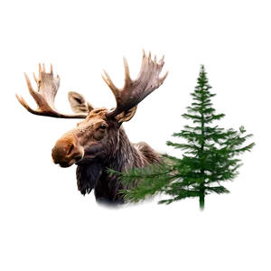 Mystical Forest Moose PNG 05242024 PNG