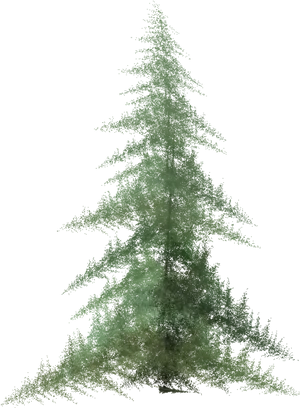 Mystical_ Forest_ Tree_ Artwork