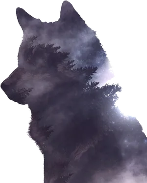 Mystical Forest Wolf Silhouette