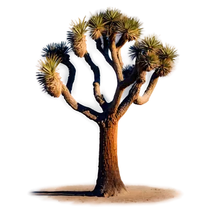Mystical Joshua Tree At Night PNG Nku4 PNG