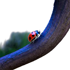 Mystical Ladybug In Moonlight PNG Ntq26 PNG