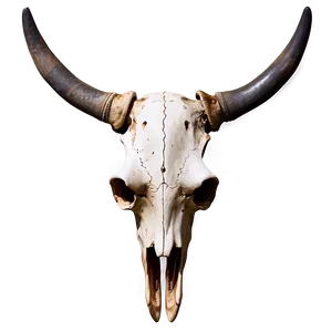 Mystical Longhorn Skull Image PNG 06292024
