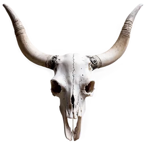 Mystical Longhorn Skull Image PNG 06292024
