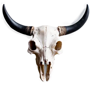 Mystical Longhorn Skull Image PNG 06292024