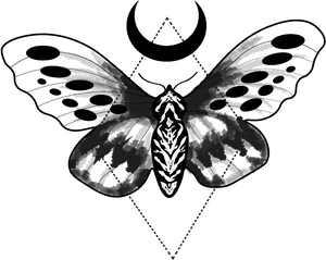 Mystical Moth Silhouette PNG image