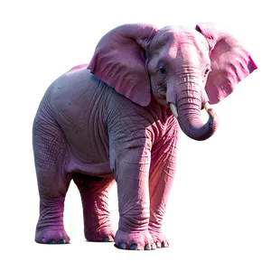 Mystical Pink Elephant PNG 06292024