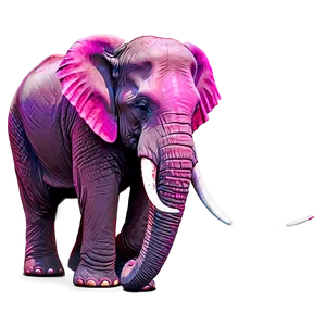 Mystical Pink Elephant PNG 96