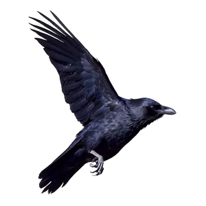 Mystical Raven In Moonlight Png 06122024 PNG image