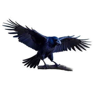 Mystical Raven PNG 05062024
