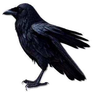 Mystical Raven PNG Egw