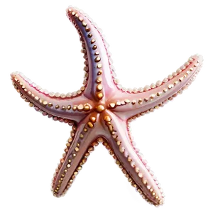 Mystical Starfish Amulet PNG Eqd26 PNG