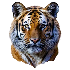 Mystical Tiger Face Aura PNG 06252024