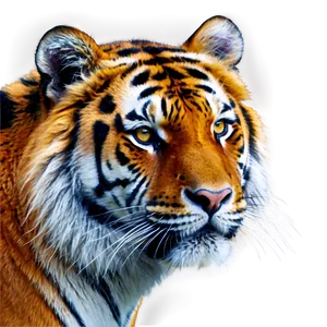 Mystical Tiger Face Aura PNG 10 PNG
