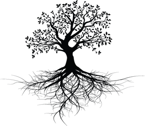 Mystical_ Tree_ Silhouette_ Roots_and_ Branches PNG image